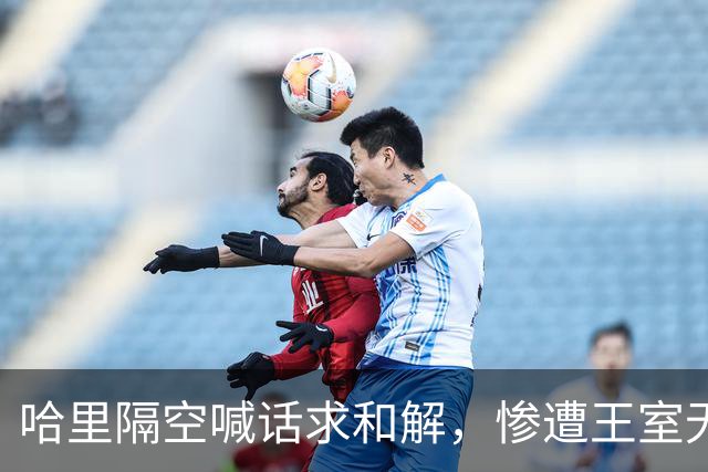 哈里隔空喊话求和解,惨遭王室无视,凯特华丽亮相国宴力压全场
