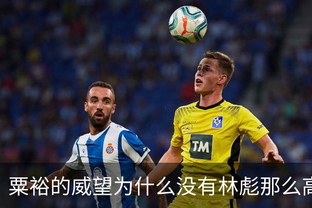 粟裕的威望为什么没有林彪那么高